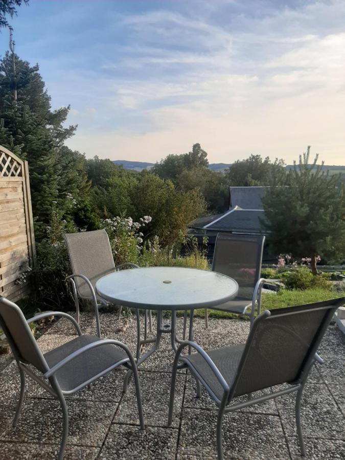 Haus Mit Ausblick 3 Schlafzimmer Wilkau-Hasslau エクステリア 写真